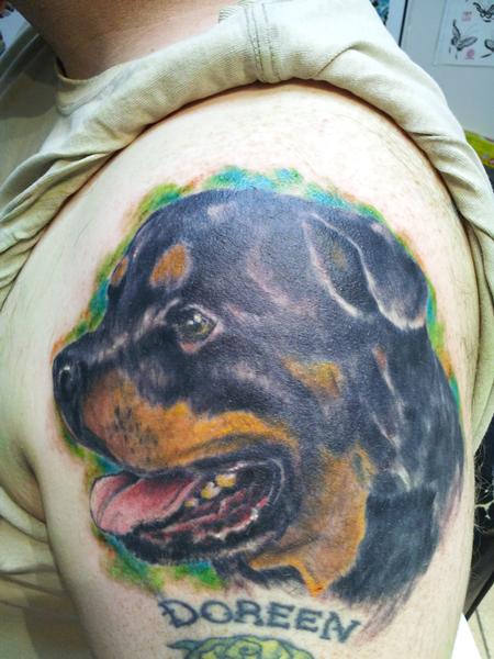 Tattoos - rottweiller  portrait - 65570